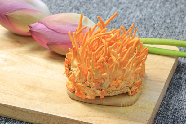 viêm tiền liệt tuyến