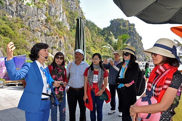 Những nghề nghiệp 