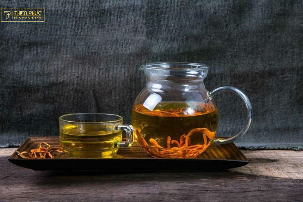 trà đông trùng hạ thảo