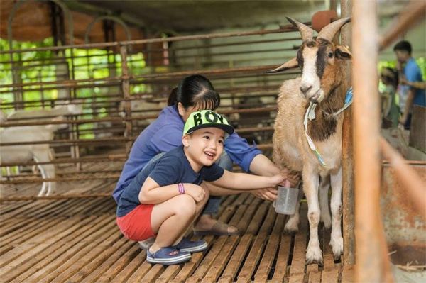 nông trại giáo dục là gì 