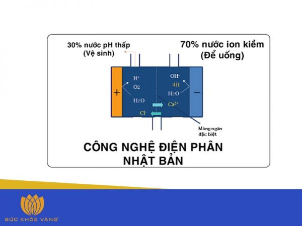 Nước ion kiềm có tốt hay không?