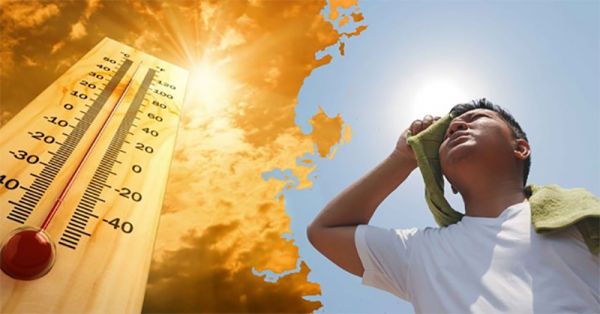 Tăng cường sức đề kháng cho cơ thể khi thời tiết nắng nóng 