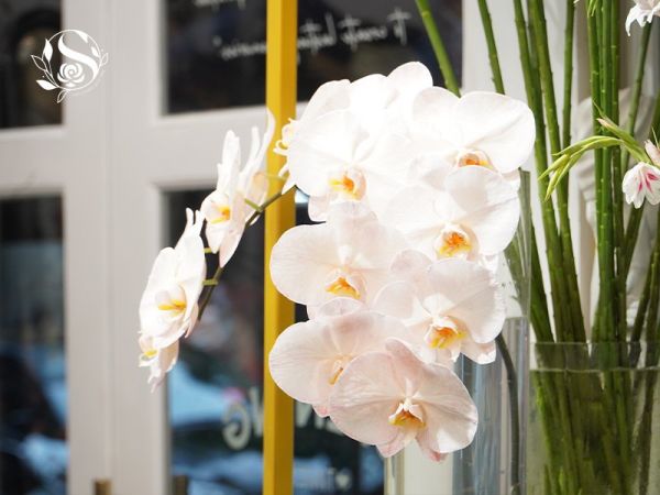 Cách chọn hoa ý nghĩa tặng mẹ dịp 20/10