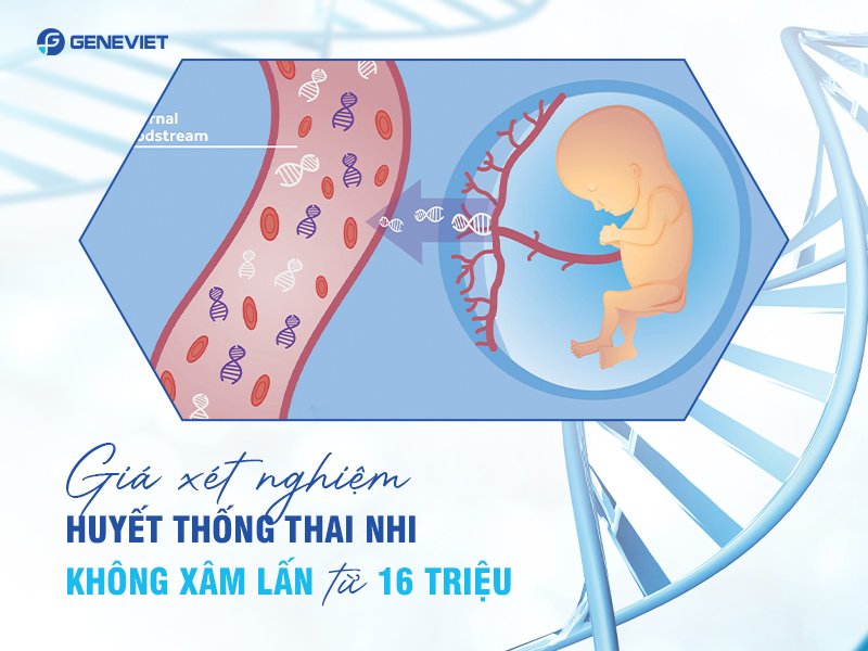 Xét nghiệm huyết thống thai nhi giá bao nhiêu? Có đắt không?