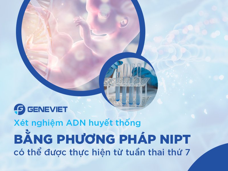 xét nghiệm ADN thai nhi