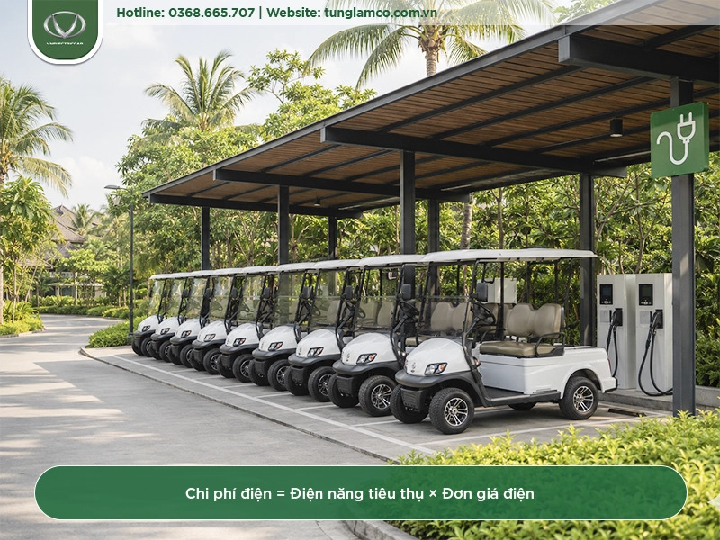 Cách tính tổng chi phí sở hữu (TCO) khi doanh nghiệp đầu tư xe điện