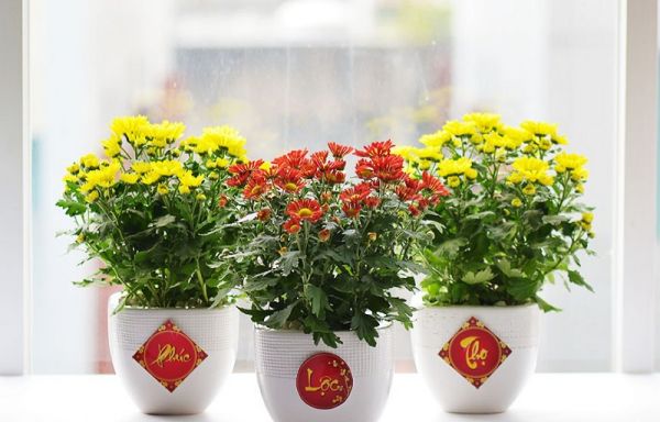 Xu hướng cắm hoa Tết 2021: Hoa nào, mẫu nào được ưa chuộng?