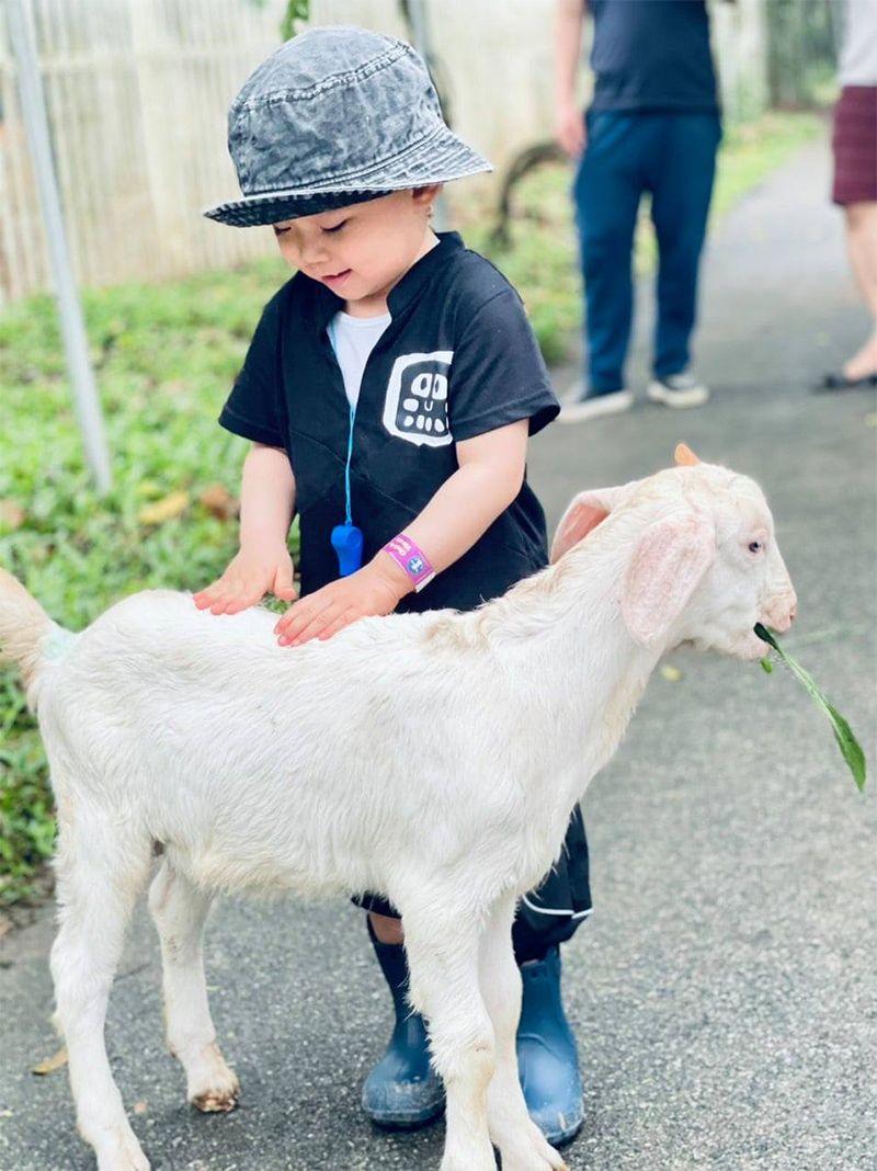 Detrang Farm – Nông trại giáo dục đầu tiên cho trẻ không gian phát triển toàn diện