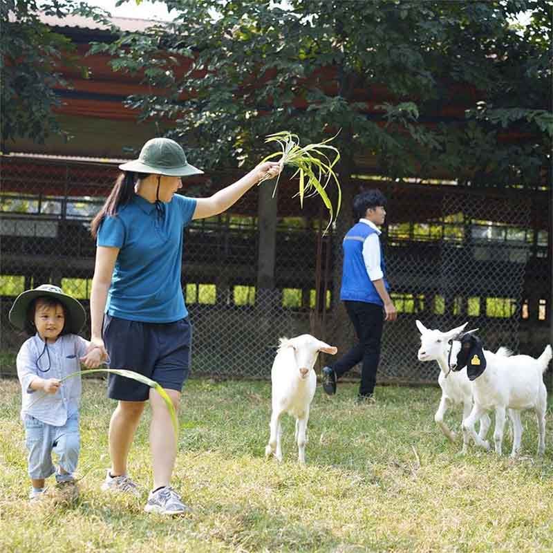 mô hình nông trại working farm 