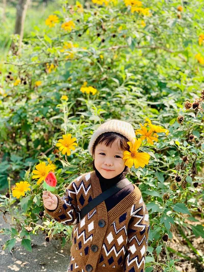 mô hình nông trại working farm 