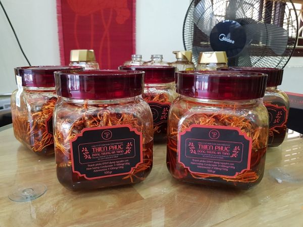 bảo quản đông trùng hạ thảo khô