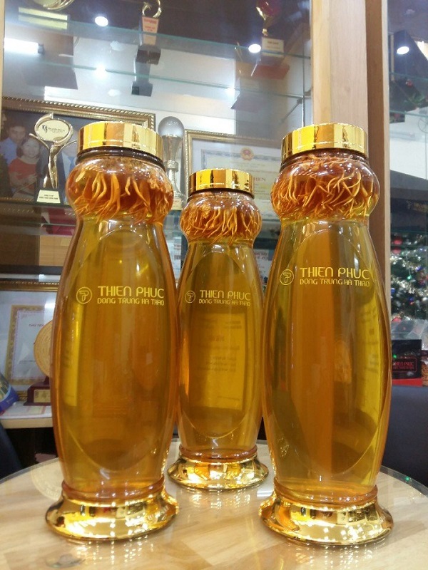 bảo quản đông trùng hạ thảo khô