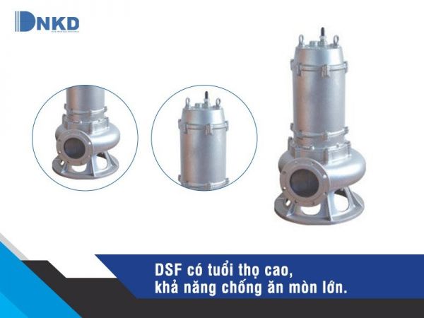 máy bơm DSF
