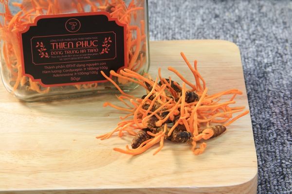 Giá đông trùng hạ thảo khô