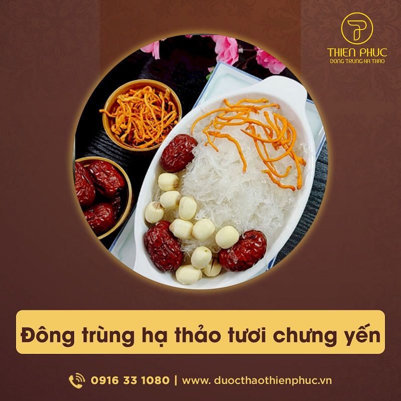 dong-trung-ha-thao-lam-mon-gi