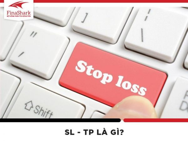 SP - TL là gì?