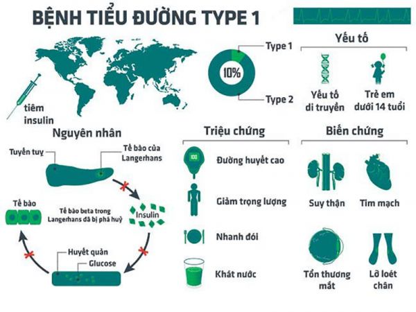 Sự khác biệt của bệnh tiểu đường tuýp 1, tuýp 2 và cách phòng tránh