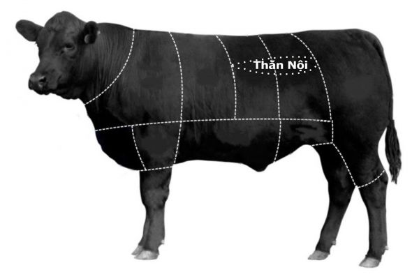 phan-biet-than-bo-noi-va-than-bo-ngoai-6