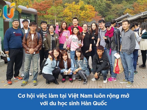 lam-gi-sau-khi-di-du-hoc-han-quoc-ve-1
