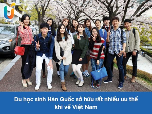 lam-gi-sau-khi-di-du-hoc-han-quoc-ve_1