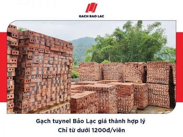 Bảo Lạc - Nhà máy sản xuất gạch tuynel chất lượng cao tại Cao Bằng