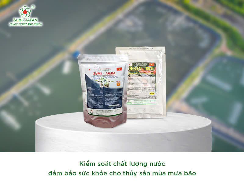 Chăm sóc vật nuôi mùa mưa bão như thế nào?