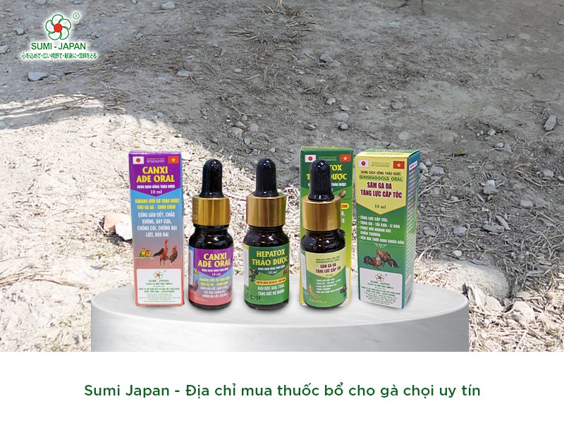 Các loại thuốc bổ cho gà đá hiệu quả được ưa chuộng