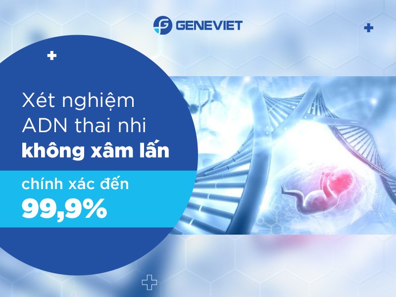 Độ chính xác của xét nghiệm ADN thai nhi không xâm lấn