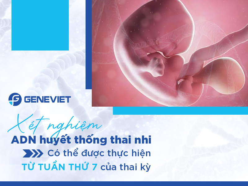 Độ chính xác của xét nghiệm ADN thai nhi không xâm lấn