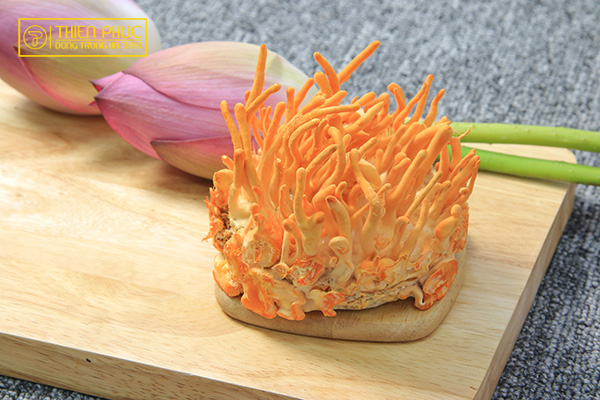 Yếu sinh lý nam