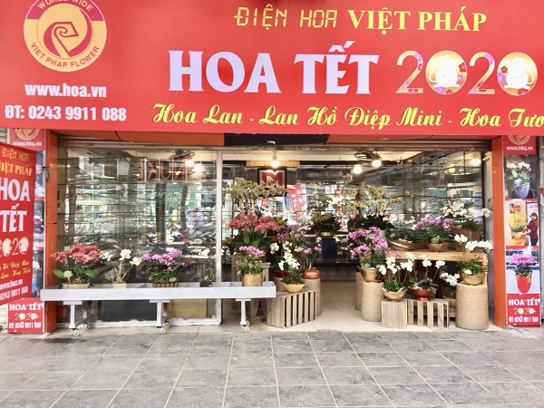 Chính thức khai trương cửa hàng Hoa Việt Pháp tại Trung Tự - Đống Đa