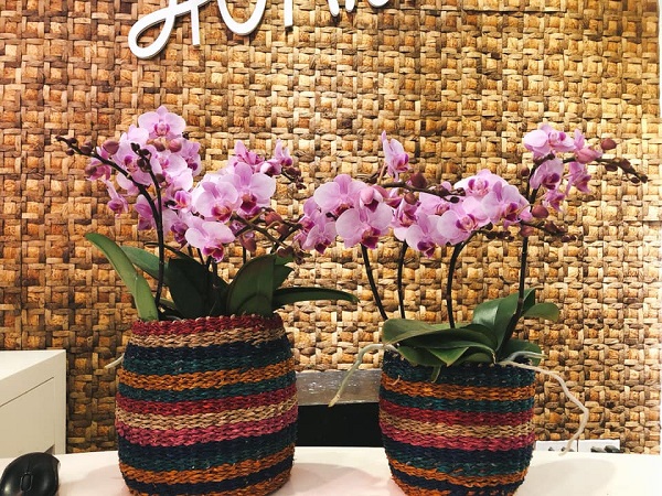 Chính thức khai trương cửa hàng Hoa Việt Pháp tại Trung Tự - Đống Đa