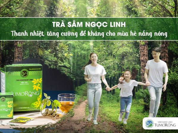 Trà sâm Ngọc Linh - Thức uống thanh nhiệt, tăng sức đề kháng không thể thiếu trong mùa hè