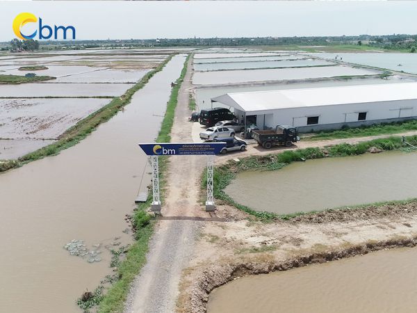 Cần lưu ý gì khi nuôi trồng cá rô phi Bảo Lộc?
