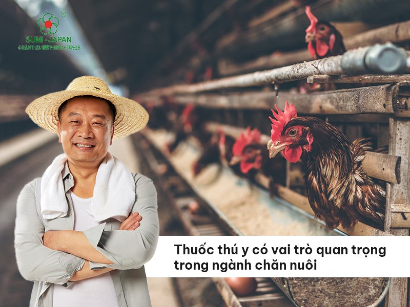 Công ty Sumi Japan – Đơn vị hàng đầu trong lĩnh vực sản xuất và cung cấp thuốc thú y
