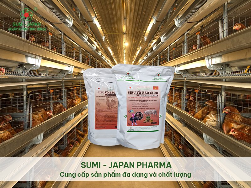 Công ty Sumi Japan – Đơn vị hàng đầu trong lĩnh vực sản xuất và cung cấp thuốc thú y