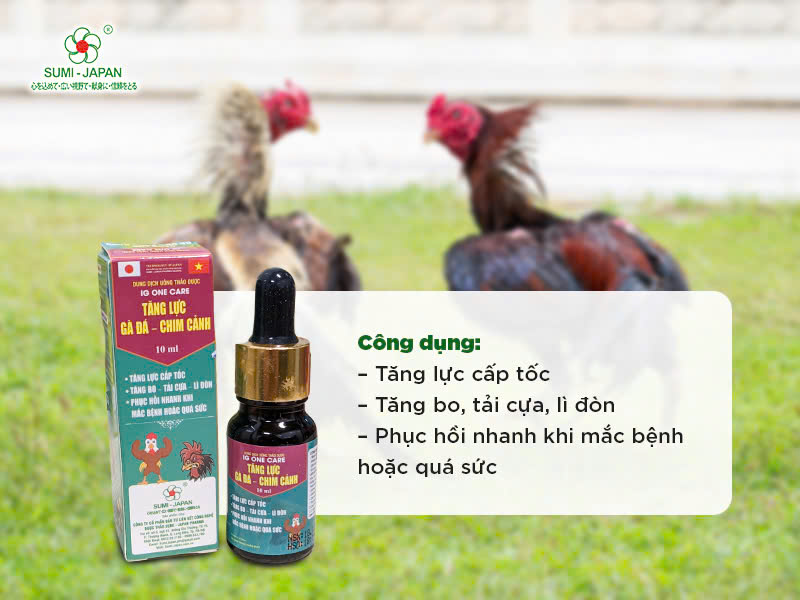 Những loại thuốc giúp gà đá tăng bo, tải cựa tốt nhất