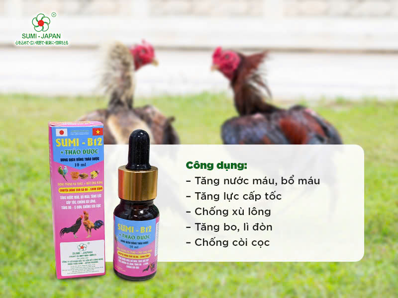 Những loại thuốc giúp gà đá tăng bo, tải cựa tốt nhất
