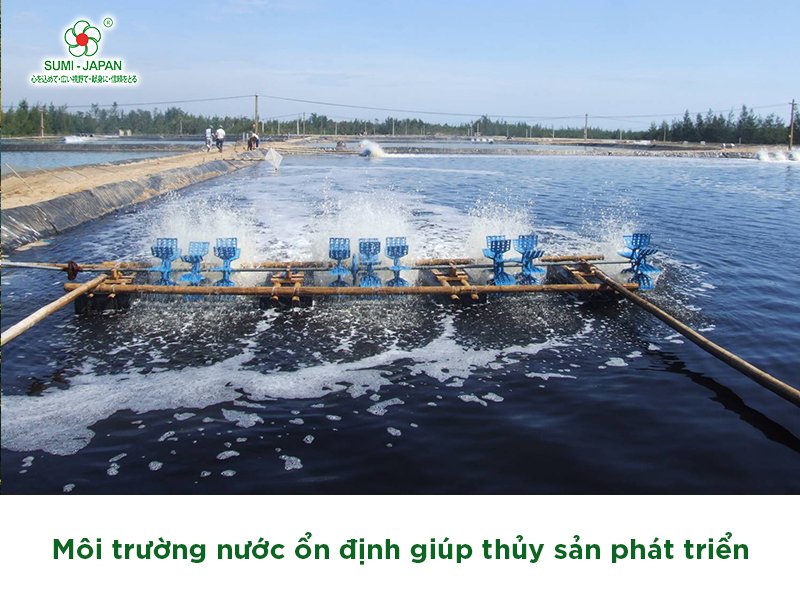 Sử dụng chế phẩm sinh học: xu hướng trong ngành nuôi trồng thủy sản