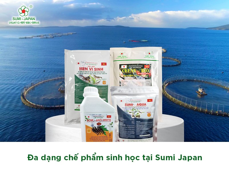 Sử dụng chế phẩm sinh học: xu hướng trong ngành nuôi trồng thủy sản