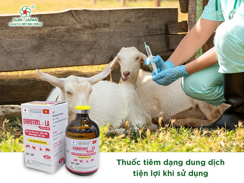 Tổng hợp các loại thuốc thú y và địa chỉ mua sản phẩm chất lượng