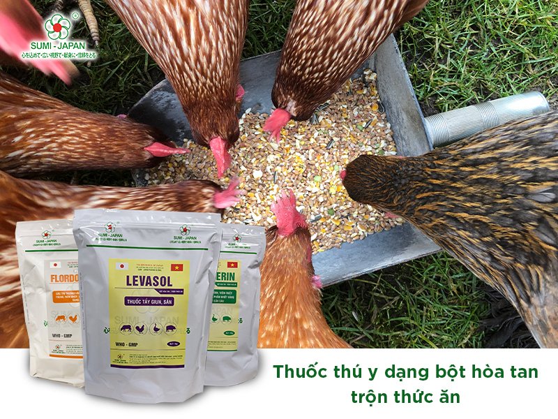 Tổng hợp các loại thuốc thú y và địa chỉ mua sản phẩm chất lượng