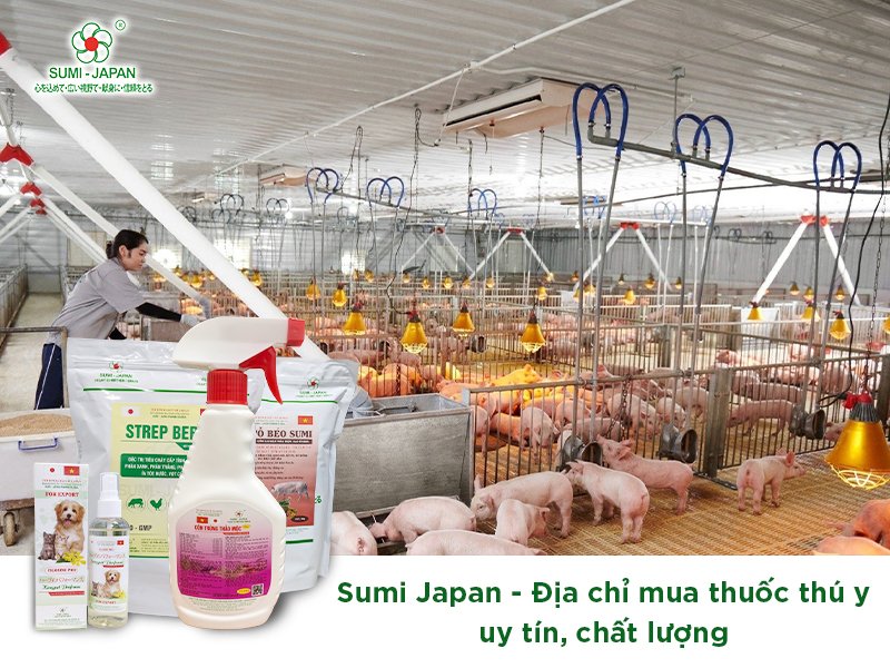 Tổng hợp các loại thuốc thú y và địa chỉ mua sản phẩm chất lượng