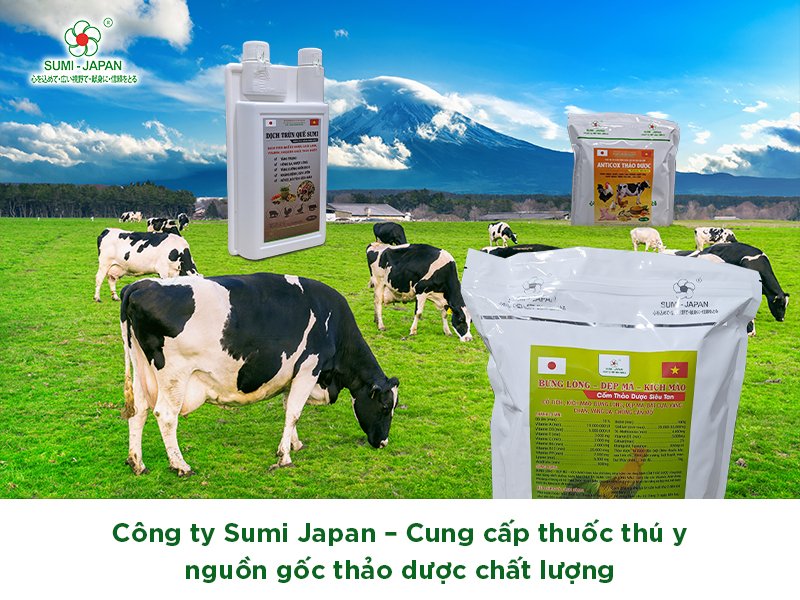 Thuốc thú y thảo dược - Sản phẩm chăm sóc sức khỏe động vật an toàn